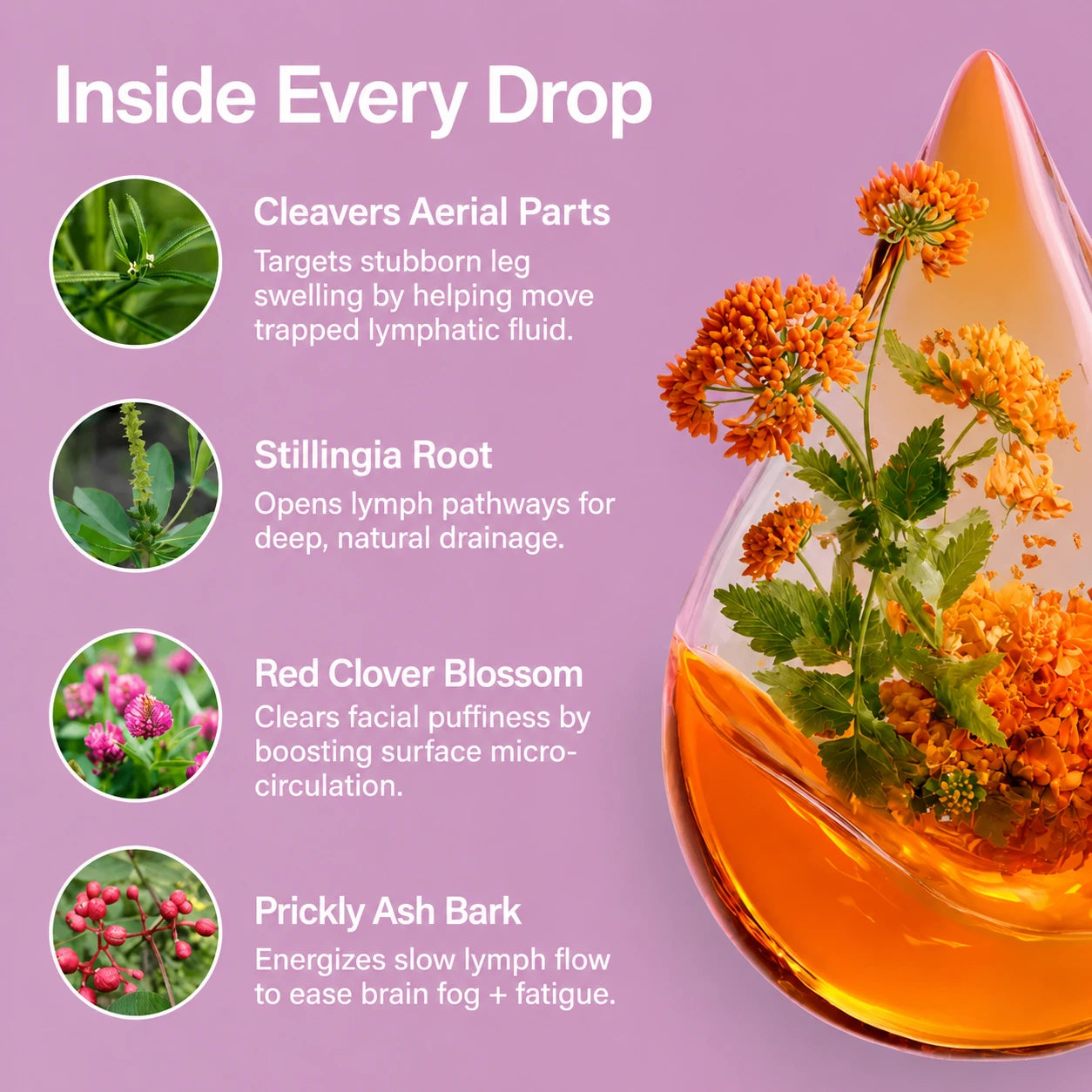 Linfaflow - Lymphatic Drainage Drops